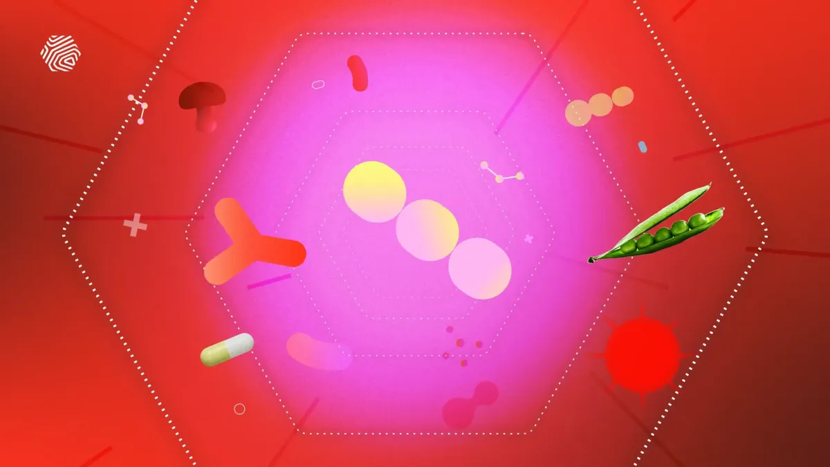 Probiotics, Prebiotics & Postbiotics: What are the Differences?