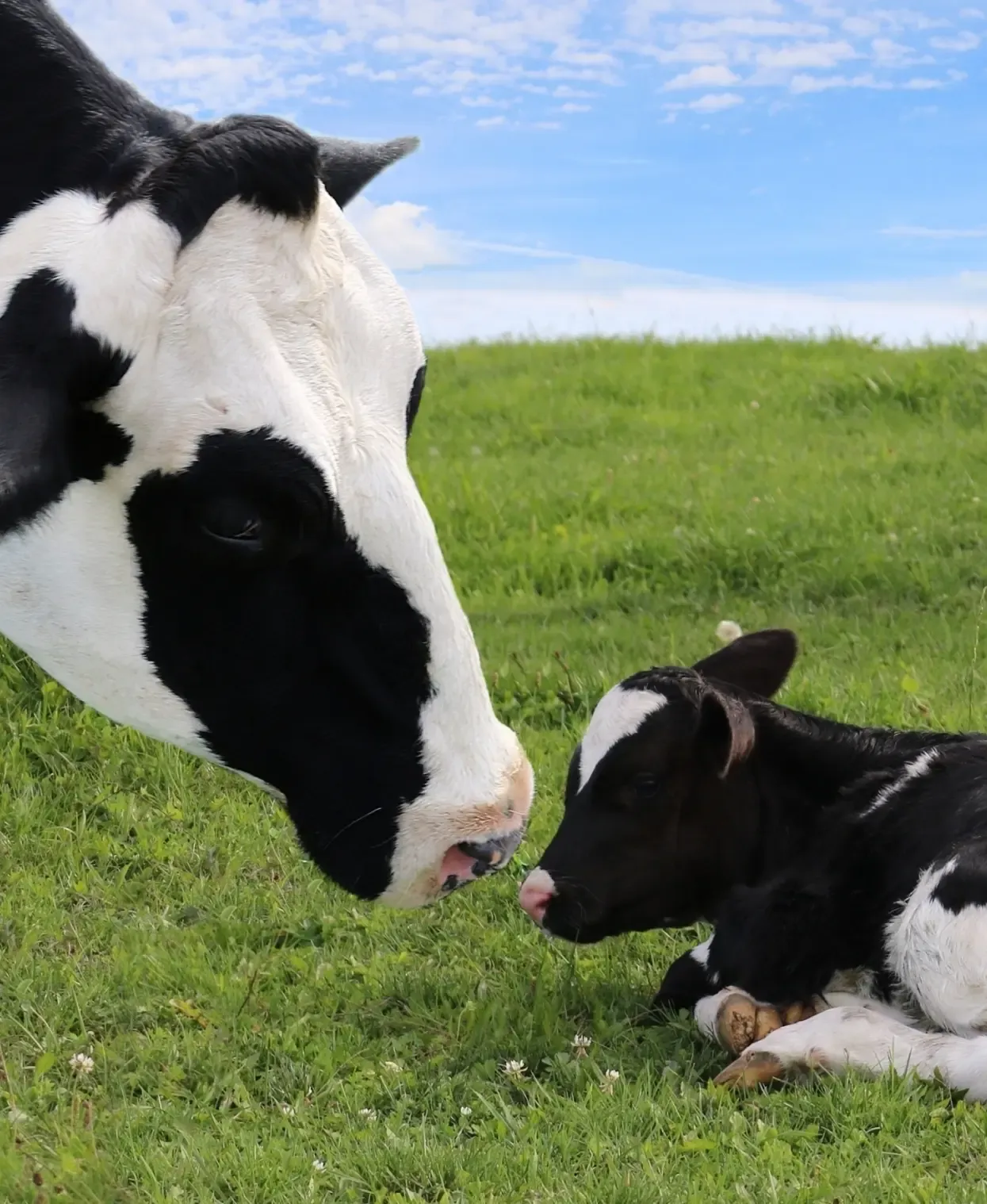 This is just the beginning